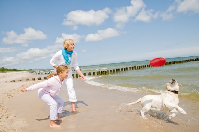 Urlaub mit dem Hund