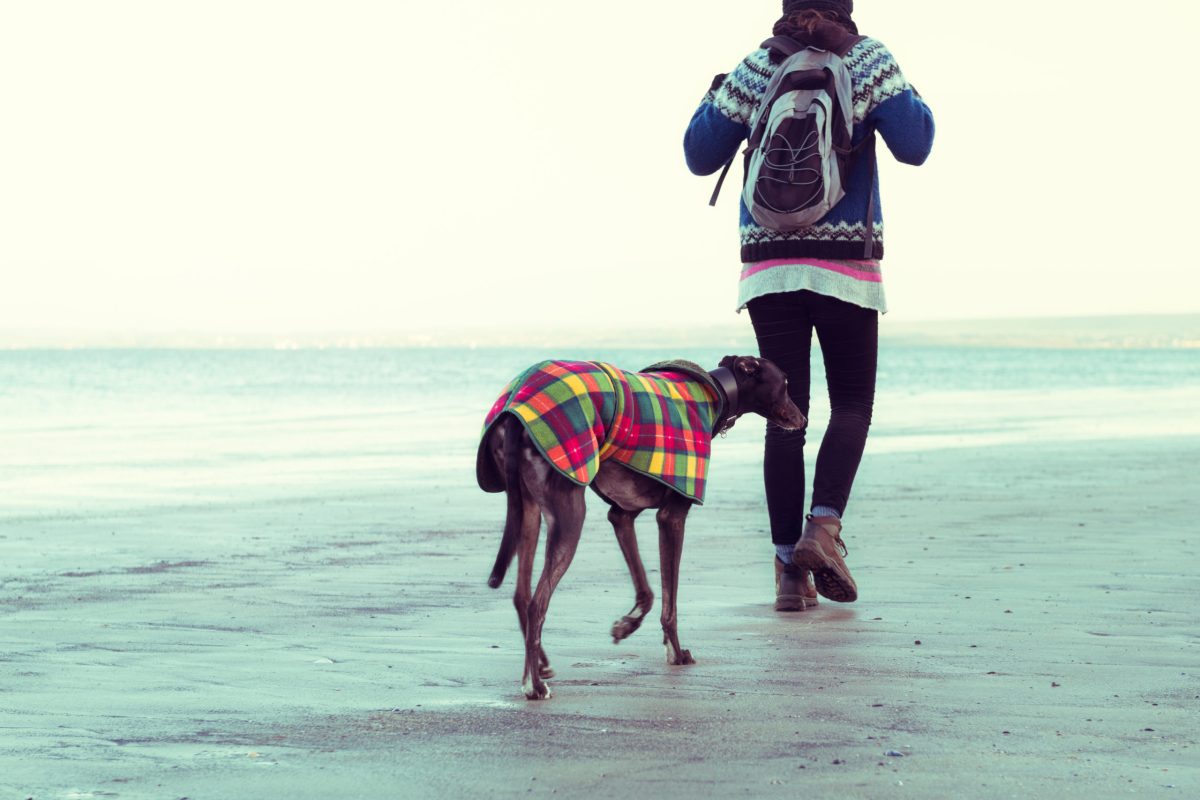 Usedom mit Hund