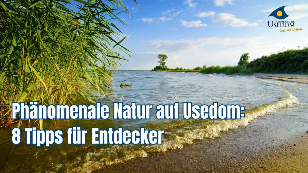 Natur auf Usedom