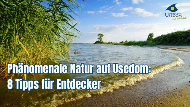 Natur auf Usedom