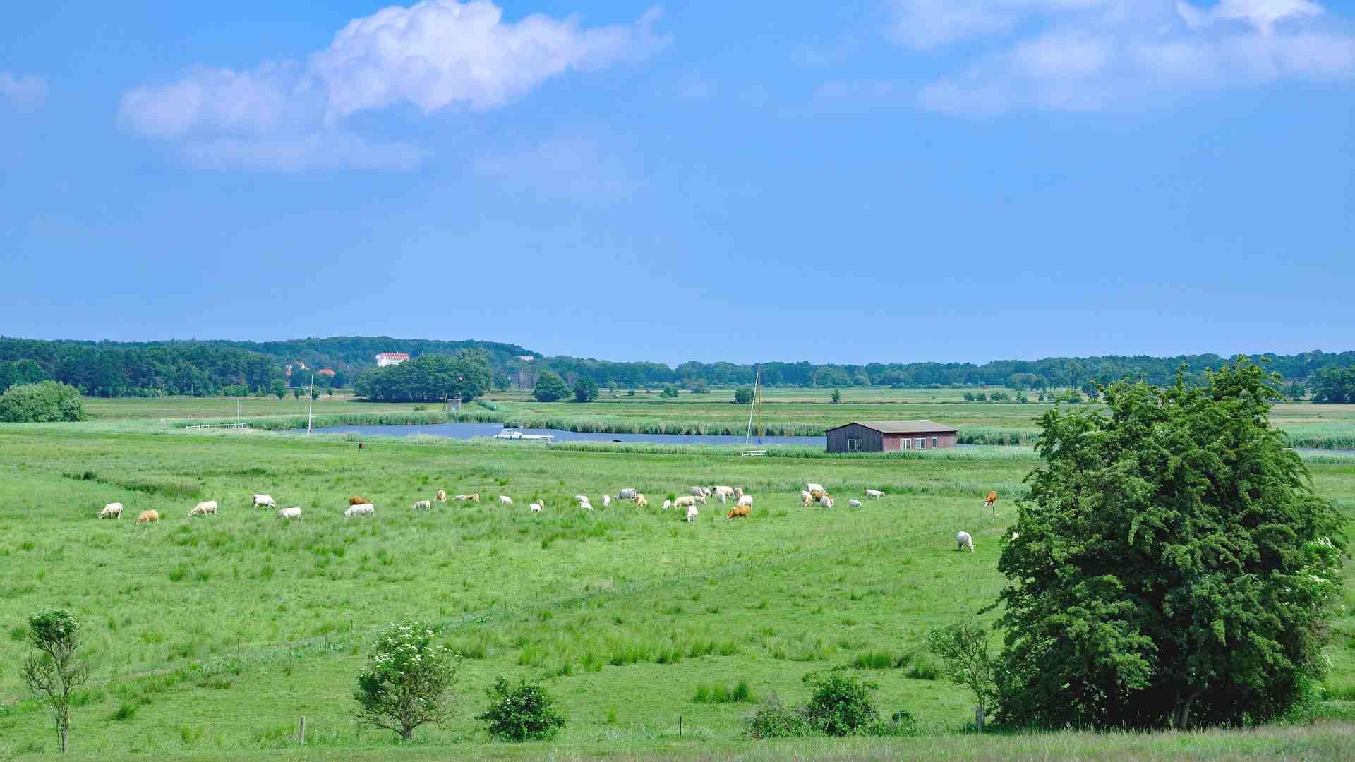 Einzigartige Natur im Usedomer Achterland