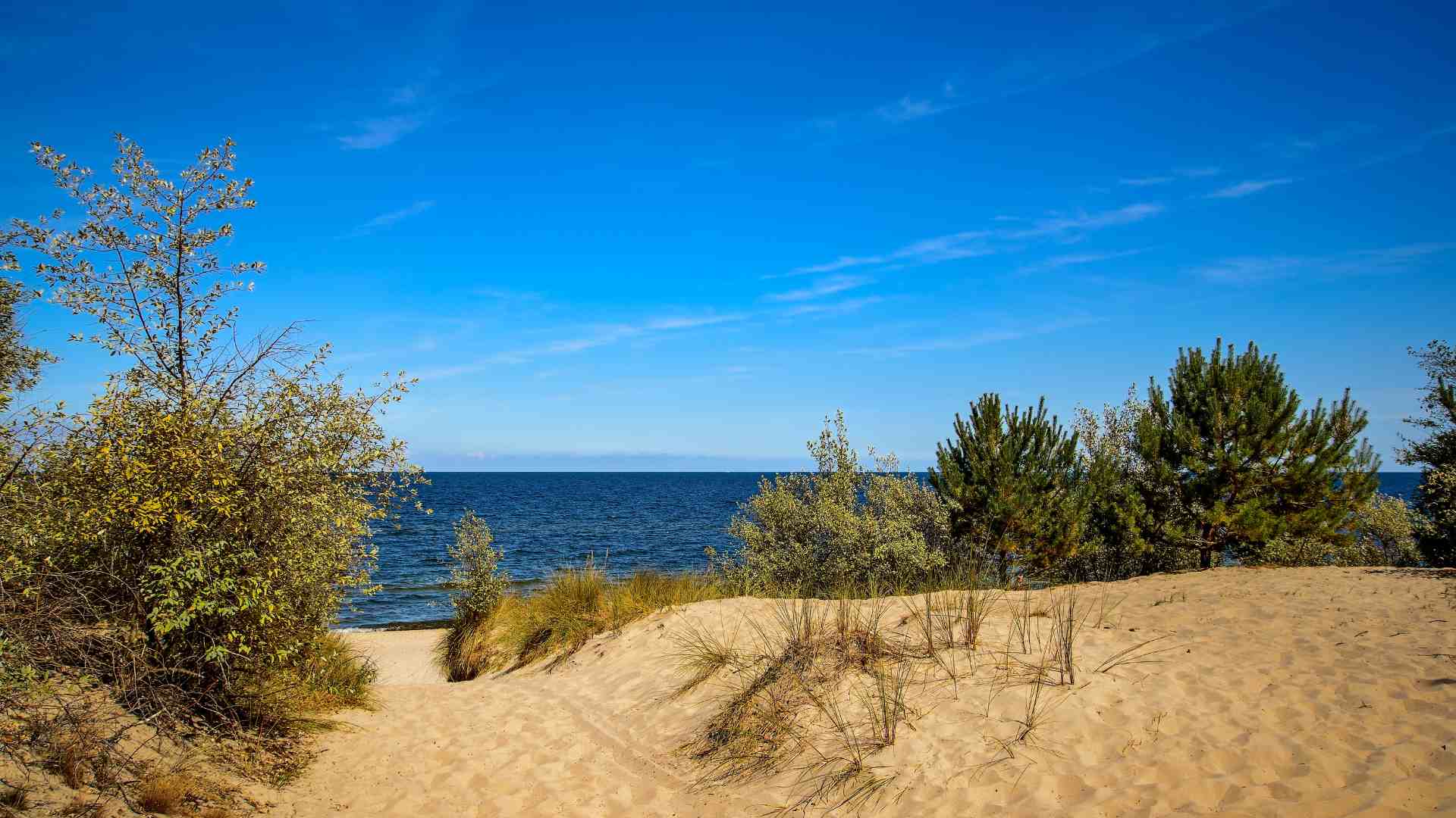 Strand bei Zinnowitz Usedom