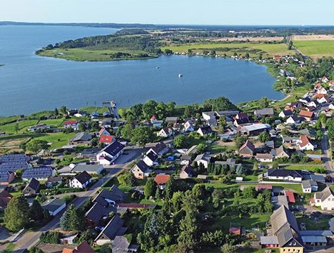 Neppermin auf Usedom