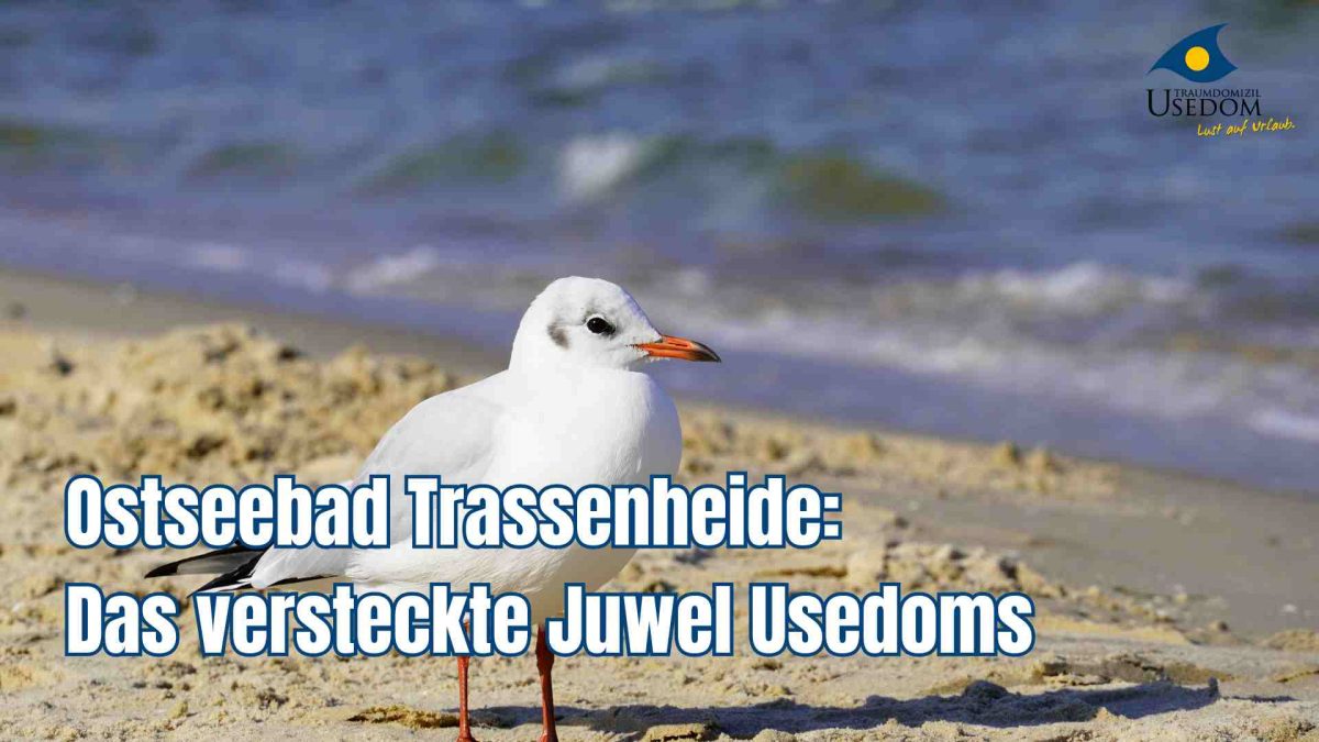 Ostseebad Trassenheide Usedom