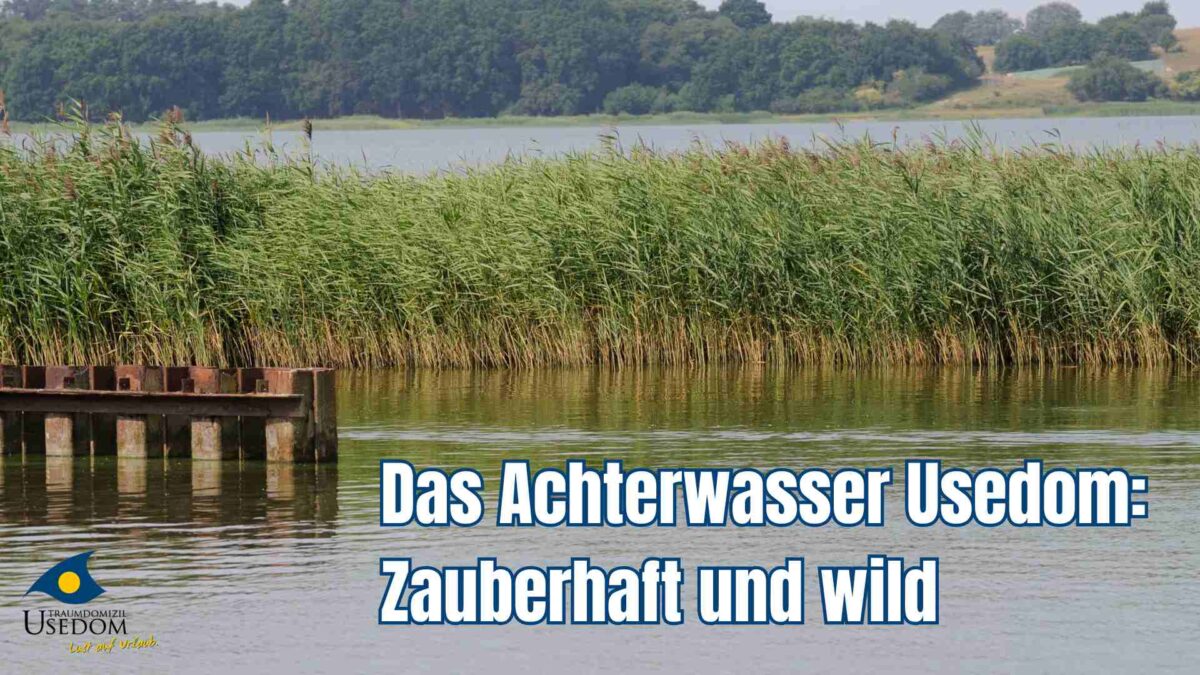 Achterwasser Usedom