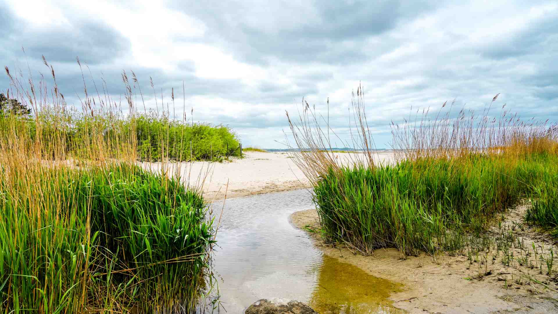 Strand auf der Insel Usedom